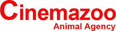 Cinemazoo Talent Agency